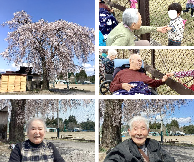 お花見