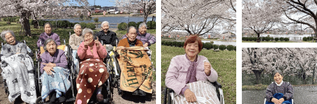 お花見